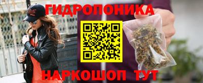 молекула духа Коммунар