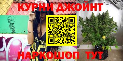 молекула духа Коммунар