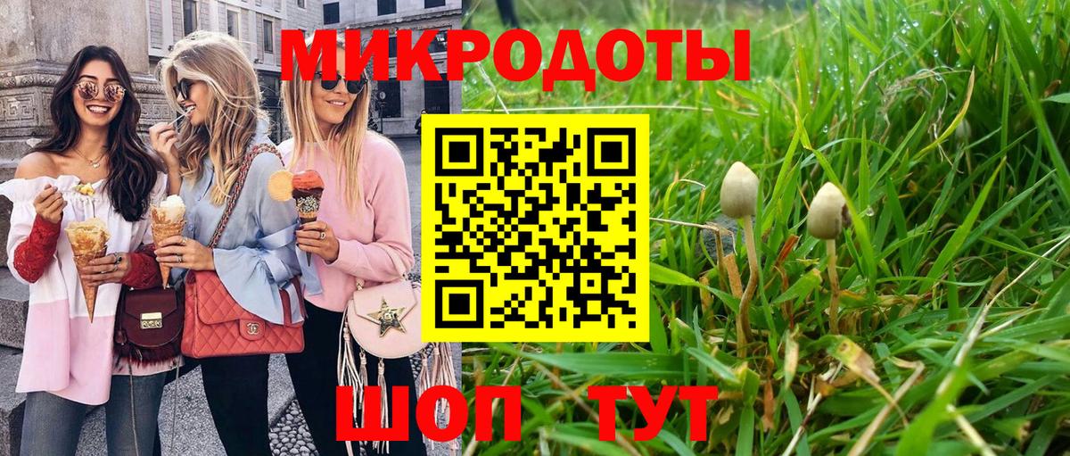Псилоцибиновые грибы прущие грибы  Вход с VPN  Щёкино 