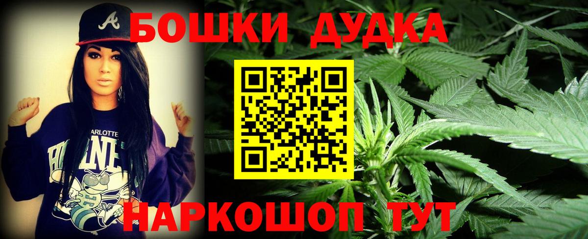 Бошки Шишки план Щёкино